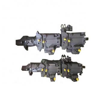 Buzile Bi-Rotational Hydraulic Gear Pump BGP20B697BYAF20-25BAF20-1 for Trucks Similar to Parker P20 Dowel Construction Type