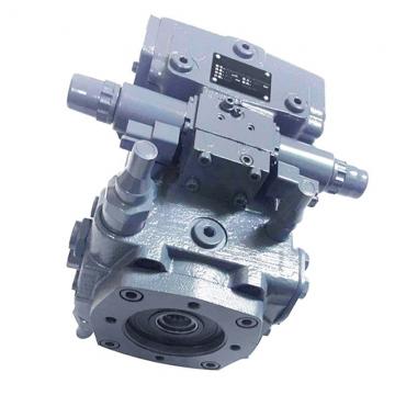 A10vso Rotary Group Rexroth A10vso18 A10vso28 A10vso45 A10vso60 Pump Parts