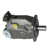 Rexroth Hydraulic Piston Pump A4vg250 with Large Displacement